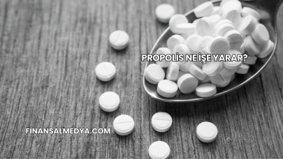 Propolis Ne İşe Yarar?