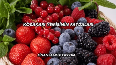 Kocakarı Yemişinin Faydaları
