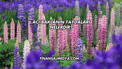 Acı Baklanın Faydaları Nelerdir?