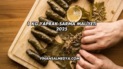 1 Kg Yaprak Sarma Maliyeti 2025