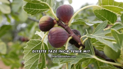 Diyette Taze İncir Yenir mi?
