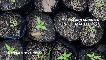 Özel Ağaçlandırma Projesi Maliyeti 2025