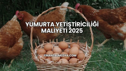 Yumurta Yetiştiriciliği Maliyeti 2025