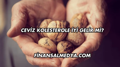 Ceviz Kolesterole İyi Gelir mi?
