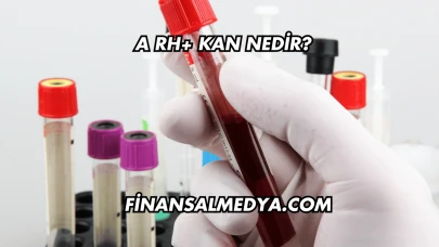 A Rh+ Kan Nedir?