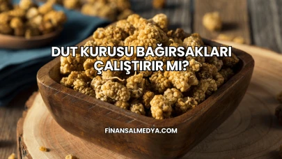 Dut Kurusu Bağırsakları Çalıştırır mı?