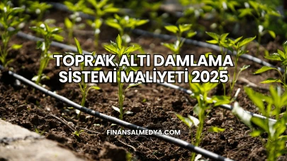 Toprak Altı Damlama Sistemi Maliyeti 2025