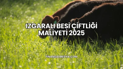 Izgaralı Besi Çiftliği Maliyeti 2025