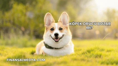 Köpek Orucu Bozar mı?