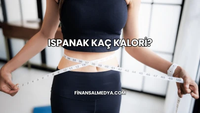 Ispanak Kaç Kalori?