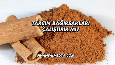 Tarçın Bağırsakları Çalıştırır mı?