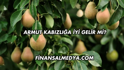 Armut Kabızlığa İyi Gelir mi?