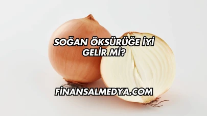 Soğan Öksürüğe İyi Gelir mi?