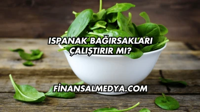 Ispanak Bağırsakları Çalıştırır mı?