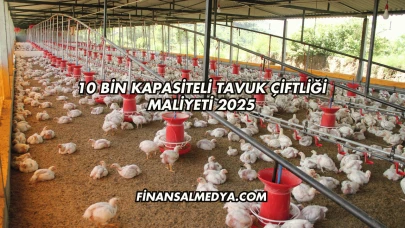 10 Bin Kapasiteli Tavuk Çiftliği Maliyeti 2025