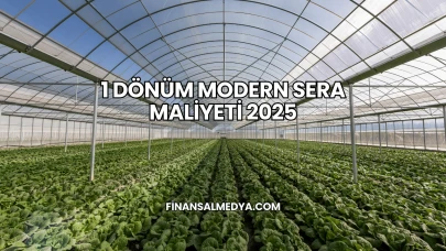 1 Dönüm Modern Sera Maliyeti 2025
