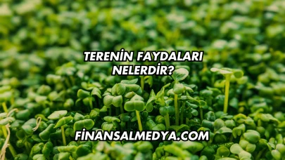 Terenin Faydaları Nelerdir?