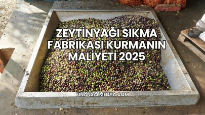 Zeytinyağı Sıkma Fabrikası Kurmanın Maliyeti 2025