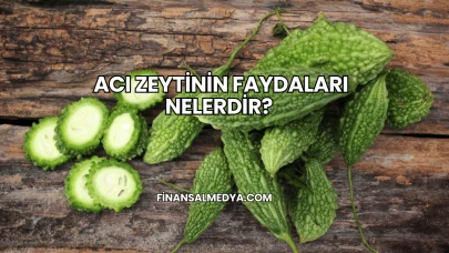 Acı Zeytinin Faydaları Nelerdir?