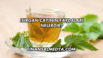 Isırgan Çayının Faydaları Nelerdir?