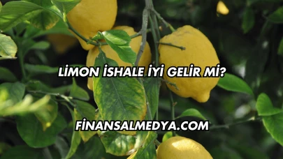Limon İshale İyi Gelir mi?