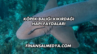 Köpek Balığı Kıkırdağı Hapı Faydaları