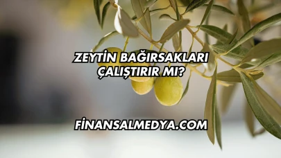 Zeytin Bağırsakları Çalıştırır mı?