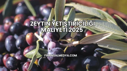 Zeytin Yetiştiriciliği Maliyeti 2025