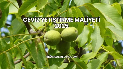 Ceviz Yetiştirme Maliyeti 2025