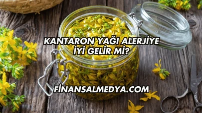 Kantaron Yağı Alerjiye İyi Gelir mi?