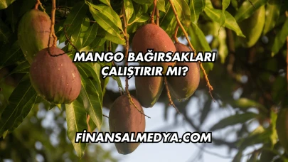 Mango Bağırsakları Çalıştırır mı?