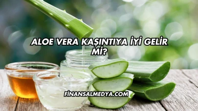 Aloe Vera Kaşıntıya İyi Gelir mi?