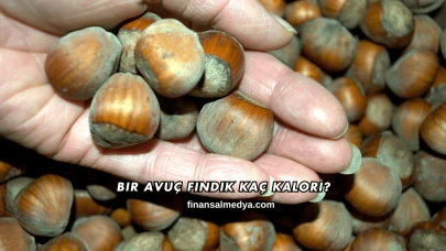 Bir Avuç Fındık Kaç Kalori?