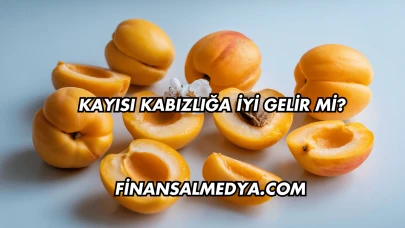 Kayısı Kabızlığa İyi Gelir mi?