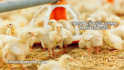 Tavuk Çiftliği Kurma Maliyeti 2025