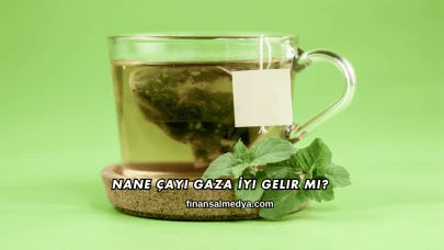 Nane Çayı Gaza İyi Gelir mi?