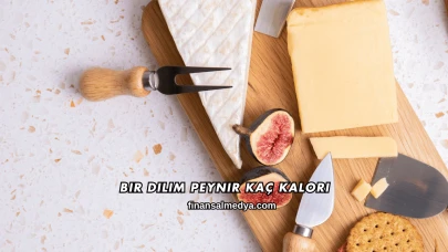 Bir Dilim Peynir Kaç Kalori