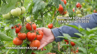 1 Dönüm Topraksız Sera Maliyeti 2025
