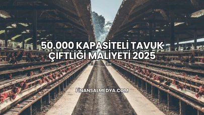 50.000 Kapasiteli Tavuk Çiftliği Maliyeti 2025
