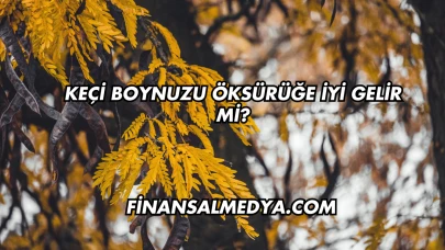 Keçi Boynuzu Öksürüğe İyi Gelir mi?