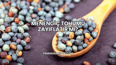 Menengiç Tohumu Zayıflatır mı?