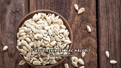 1 Avuç Çekirdek Kaç Kalori?