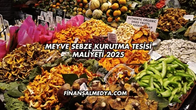 Meyve Sebze Kurutma Tesisi Maliyeti 2025