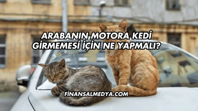Arabanın Motora Kedi Girmemesi İçin Ne Yapmalı?