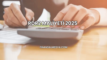 RDR2 Maliyeti 2025