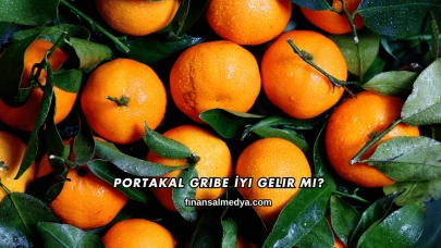 Portakal Gribe İyi Gelir mi?