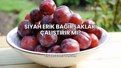 Siyah Erik Bağırsakları Çalıştırır mı?