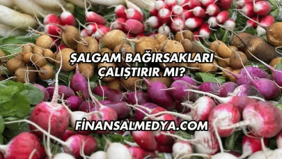 Şalgam Bağırsakları Çalıştırır mı?