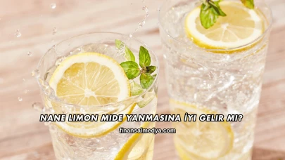 Nane Limon Mide Yanmasına İyi Gelir mi?