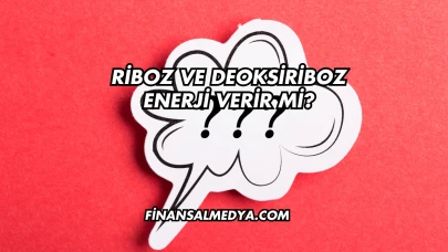 Riboz ve Deoksiriboz Enerji Verir mi?